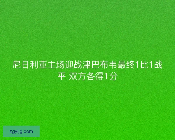 尼日利亚主场迎战津巴布韦最终1比1战平 双方各得1分