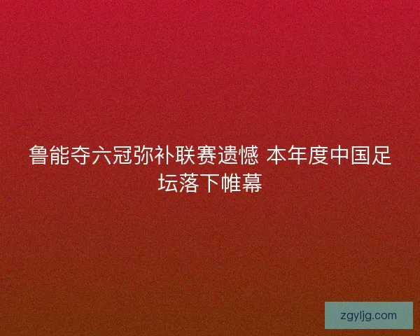 鲁能夺六冠弥补联赛遗憾 本年度中国足坛落下帷幕